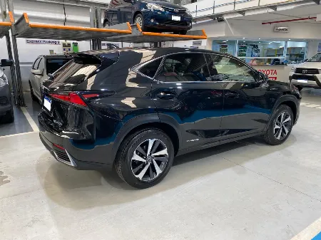 NX 2.5 300H LUXURY 2020 - imgN°3