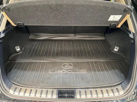 NX 2.5 300H LUXURY 2020 - imgN°6